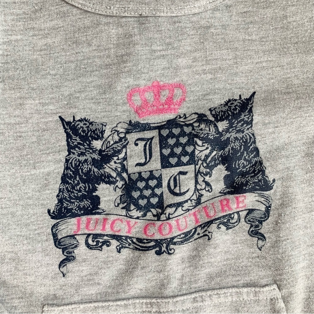 Juicy Couture Terry Cloth Gray Long Sleeve Top w/ Hot Pink Lace Accents Size 5 - Picture 2 of 6